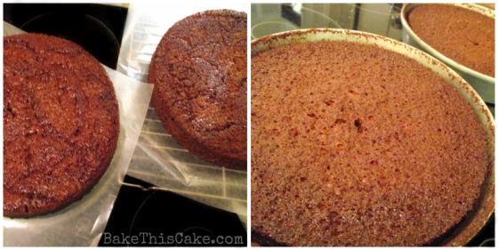 Cider Cake hot from the oven by BakeThisCake