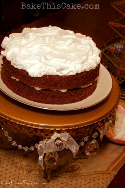 Cider Cake long view by Bake This Cake photo by Life Force Photos