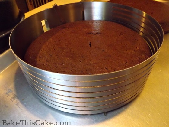 Cake slicing tool by bake this cake